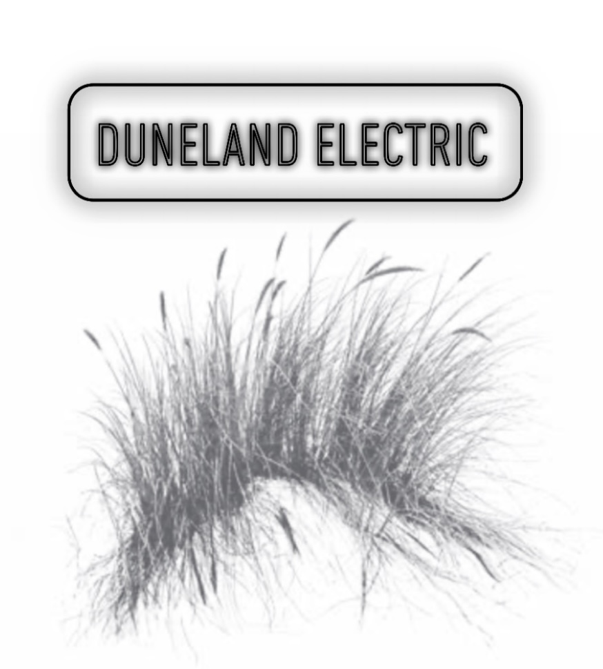 Avatar for Duneland Electric