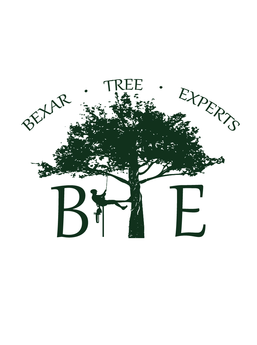 Avatar for Bexar Tree Experts