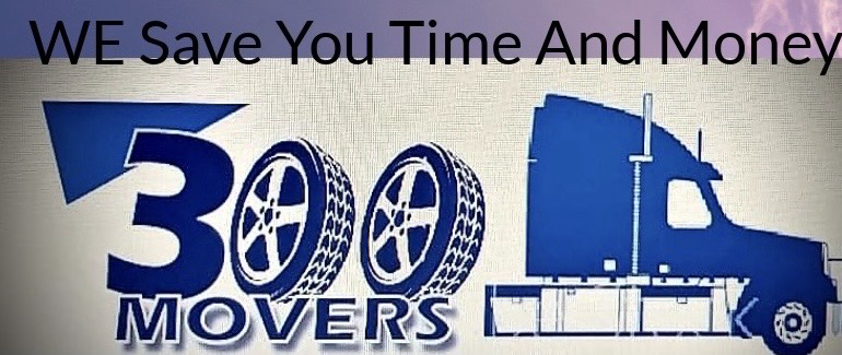 Logo for 300 Movers LLC