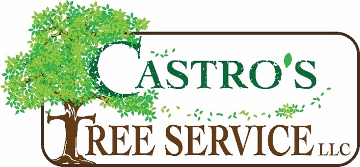 Avatar for CASTROS TREE SERVICE LLC