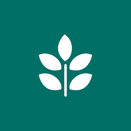 Logo for Emerald Cleaning