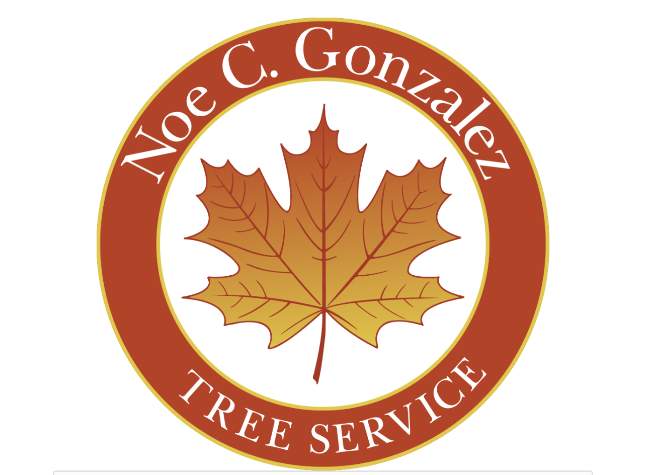 Avatar for Noe C. Gonzalez Tree Service