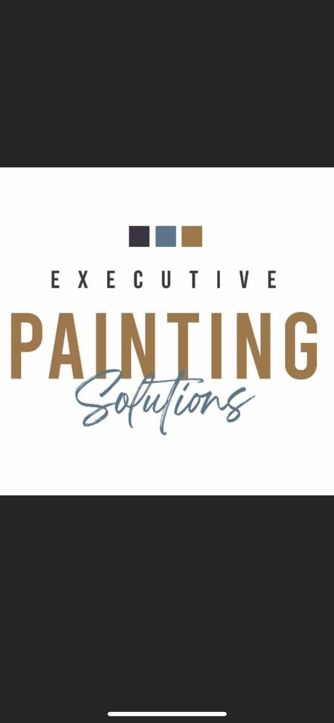 Executive Painting Solutions logo