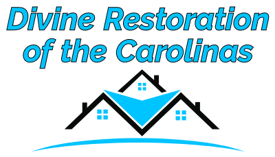 Avatar for Divine Restoration of the Carolinas
