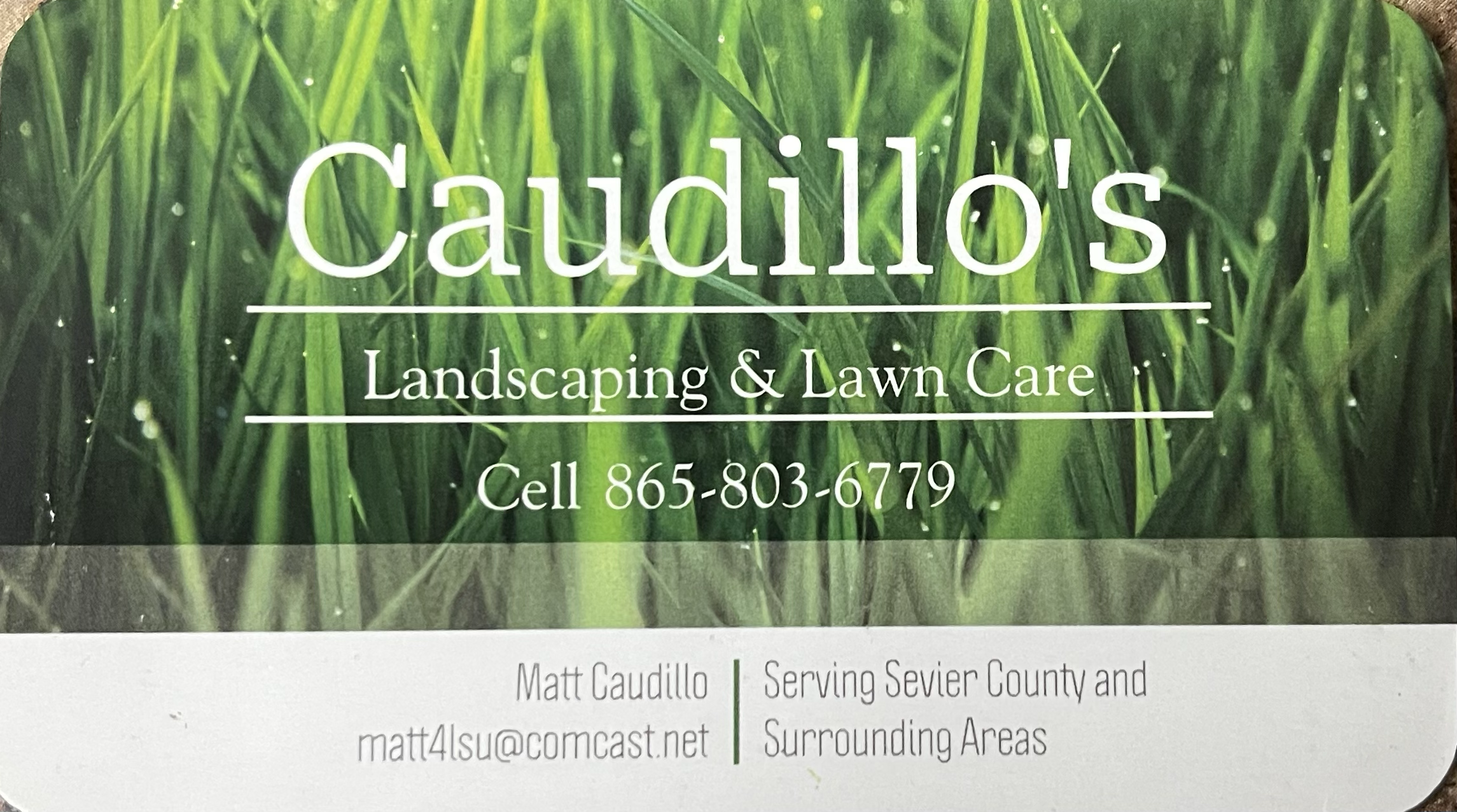 Caudillos Landscaping & Lawn Care logo