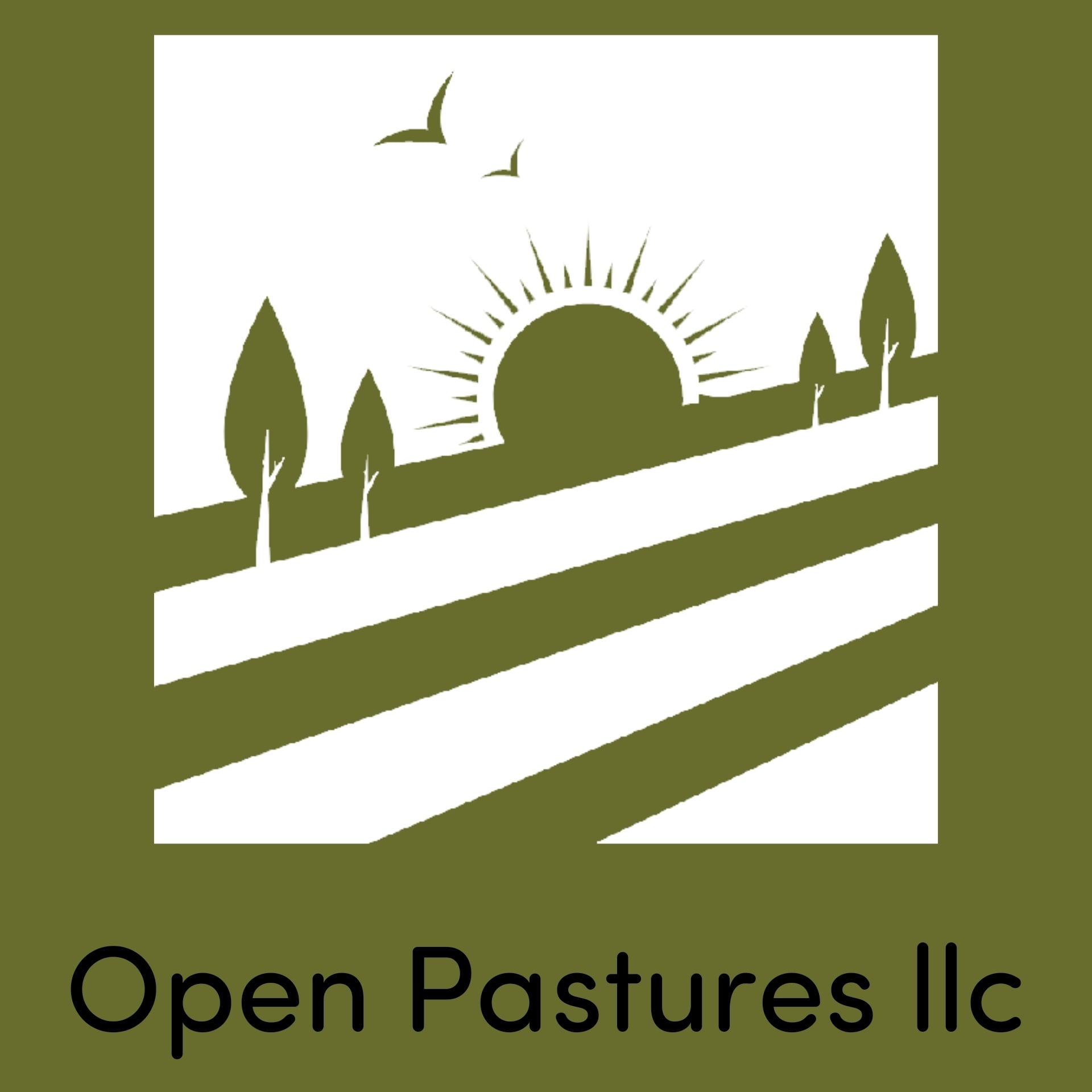 Avatar for Open Pastures llc