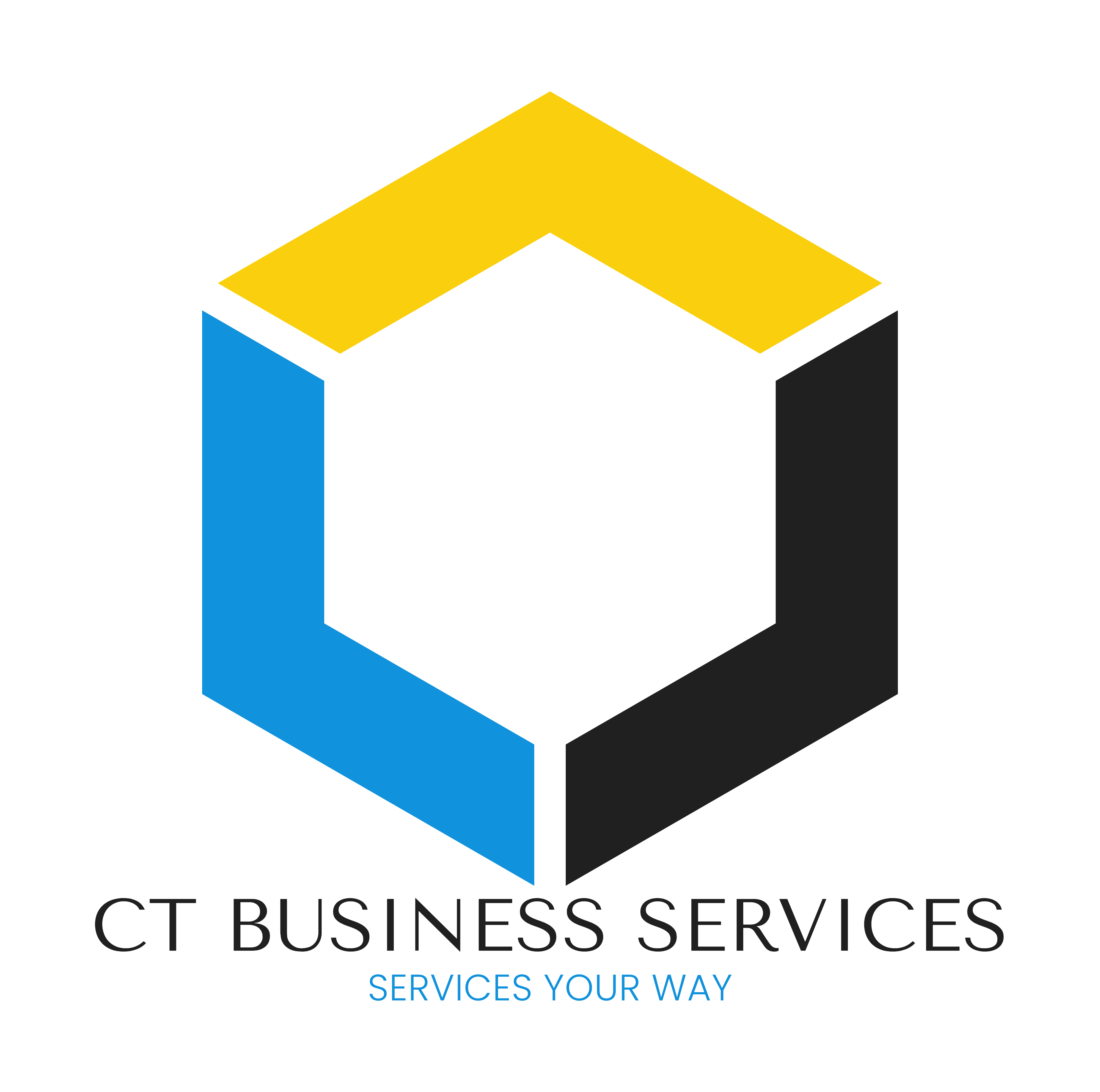 Avatar for CT Business Services
