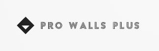 Pro Walls Plus logo