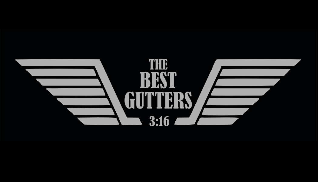 The Best Gutters logo