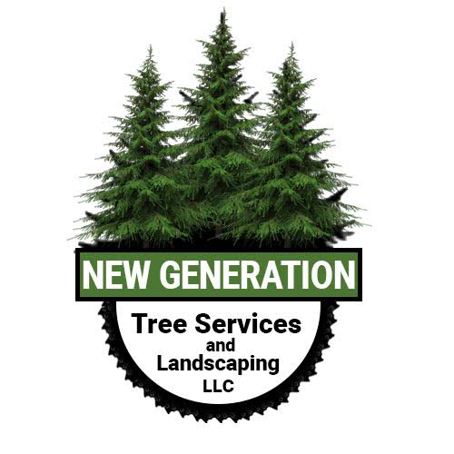 Avatar for A New Generation of Tree Service & Landscape