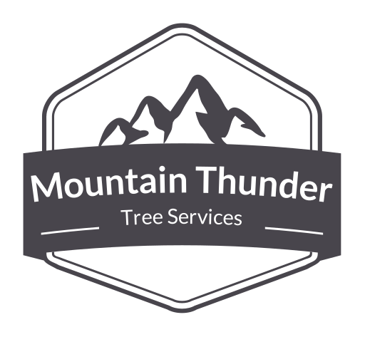 Avatar for Mountain Thunder Tree Services