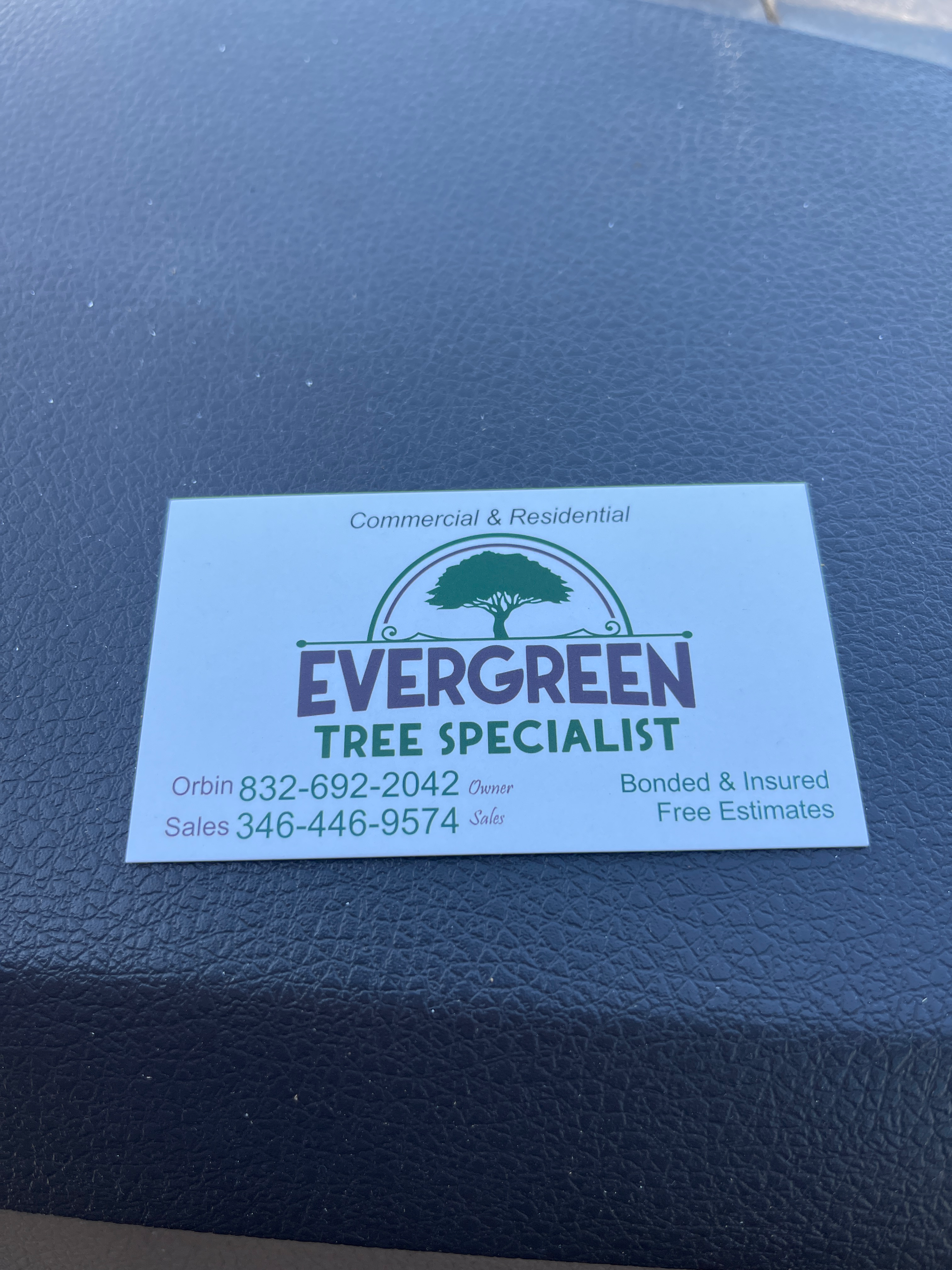 Avatar for Evergreen Tree Specialist