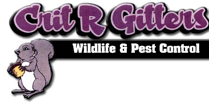 Logo for Critters Inc.