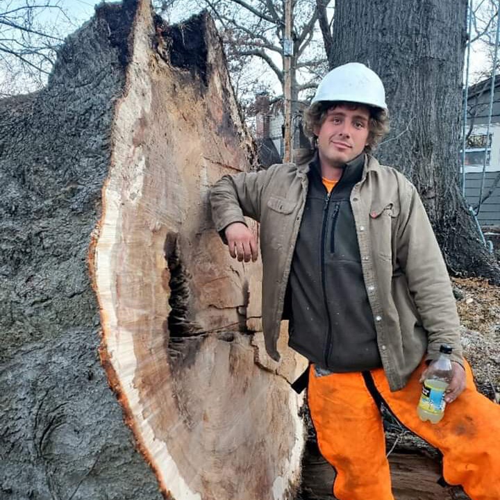 Avatar for Champion Tree Care