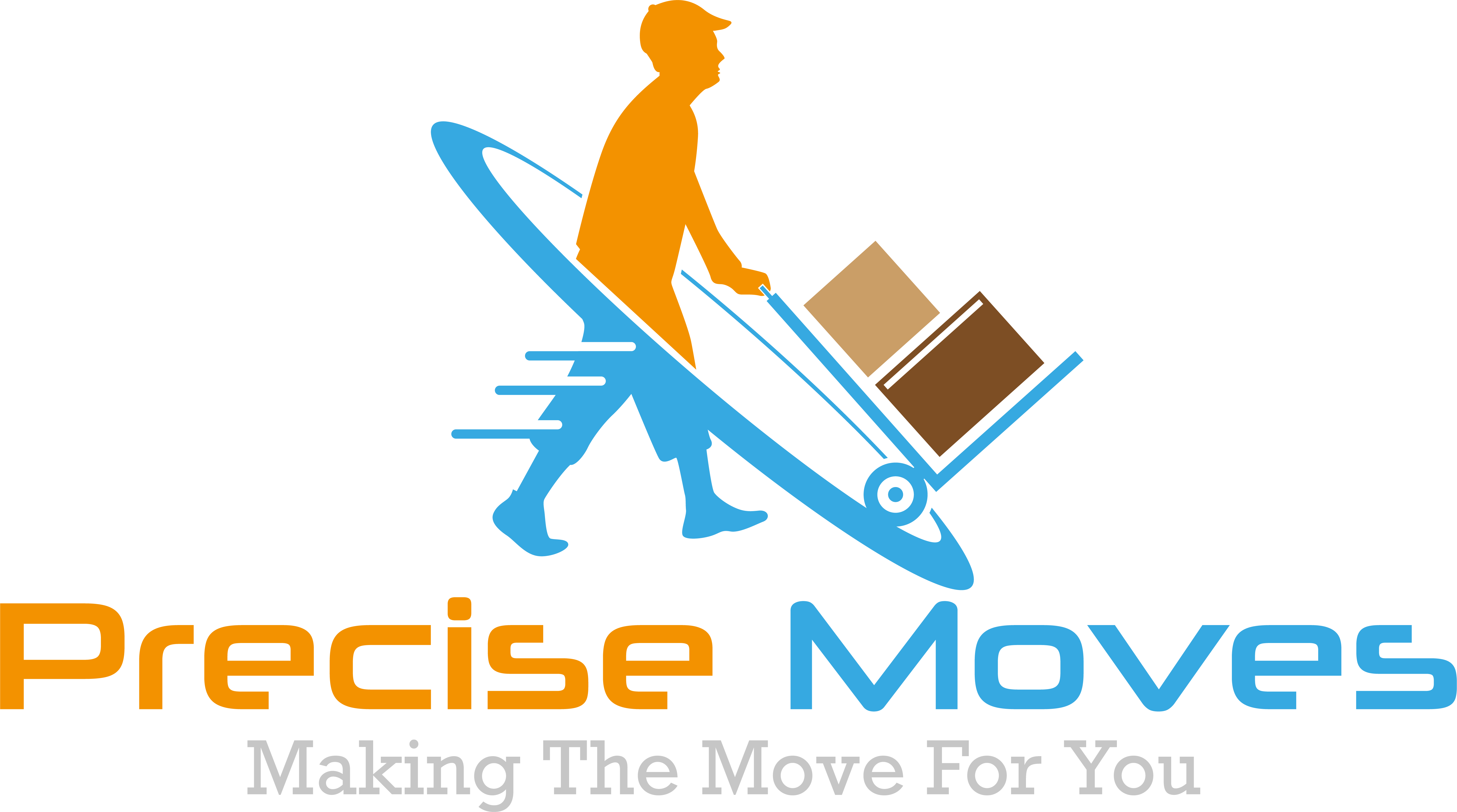 Avatar for Precise Moves