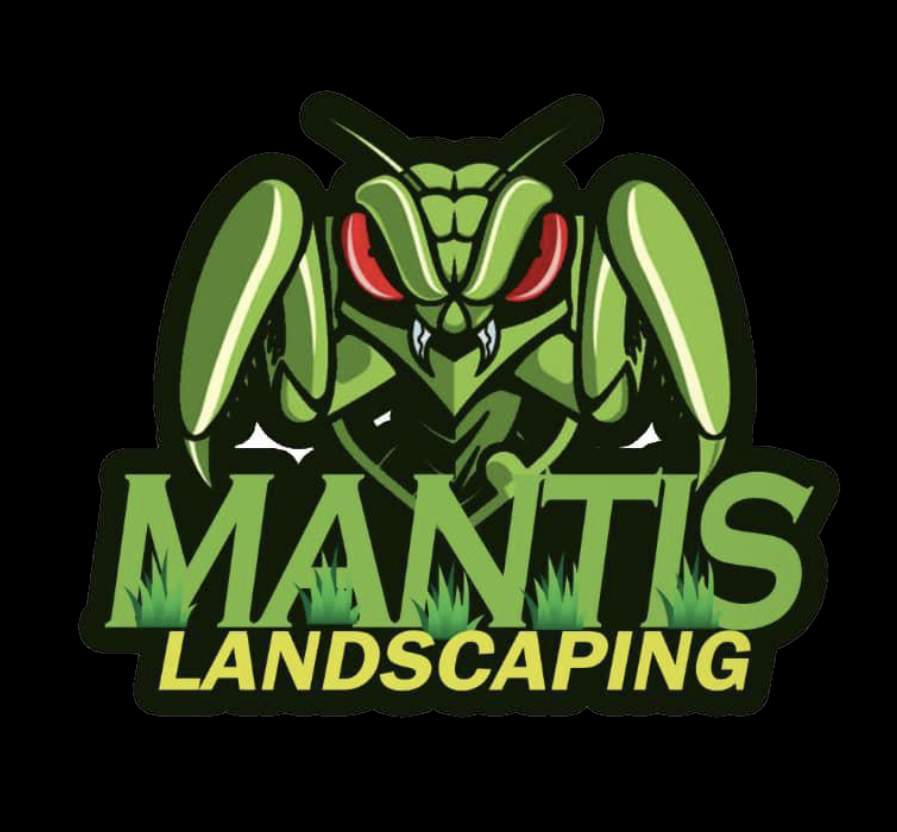 Avatar for Mantis Landscape