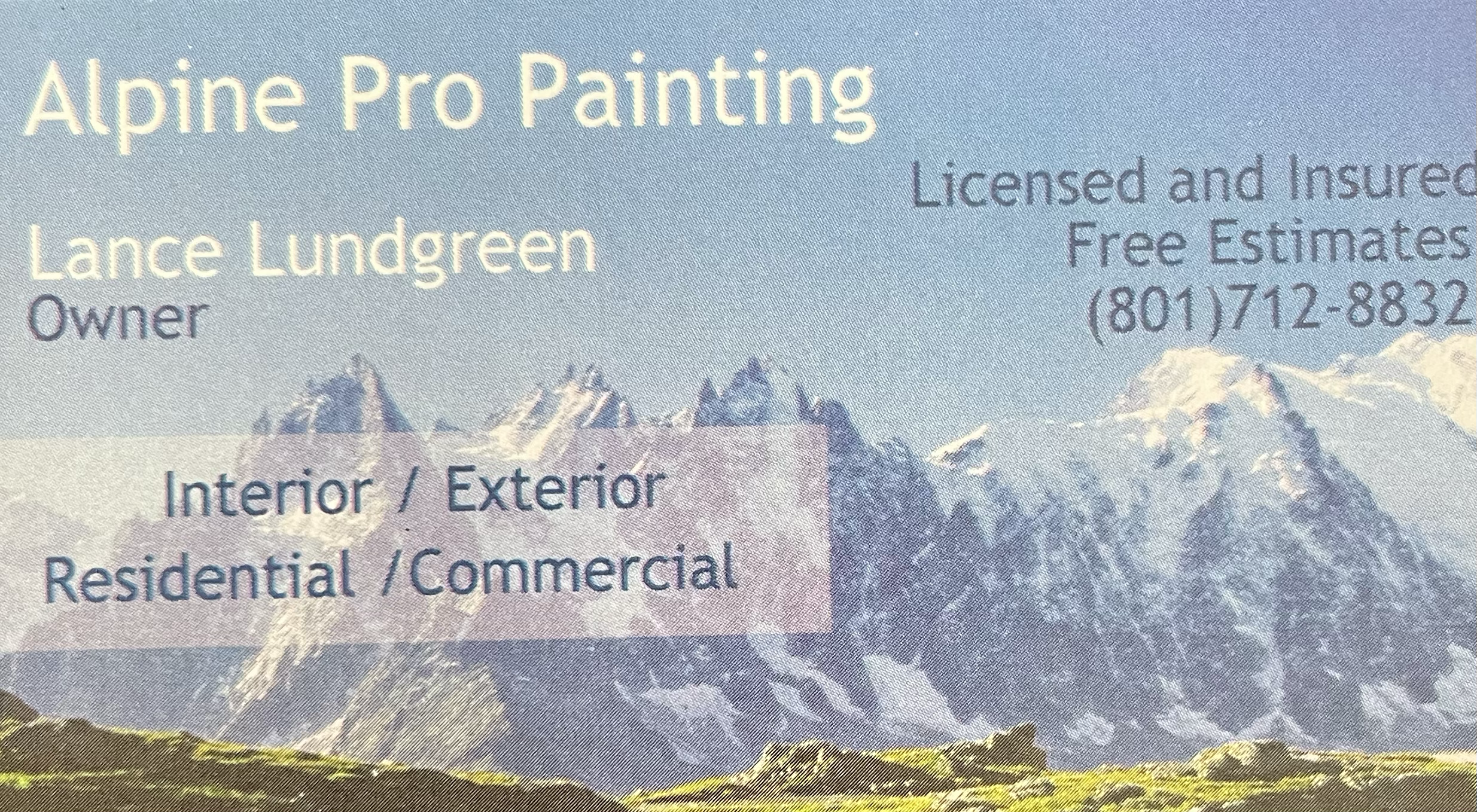 Alpine Pro Painting logo