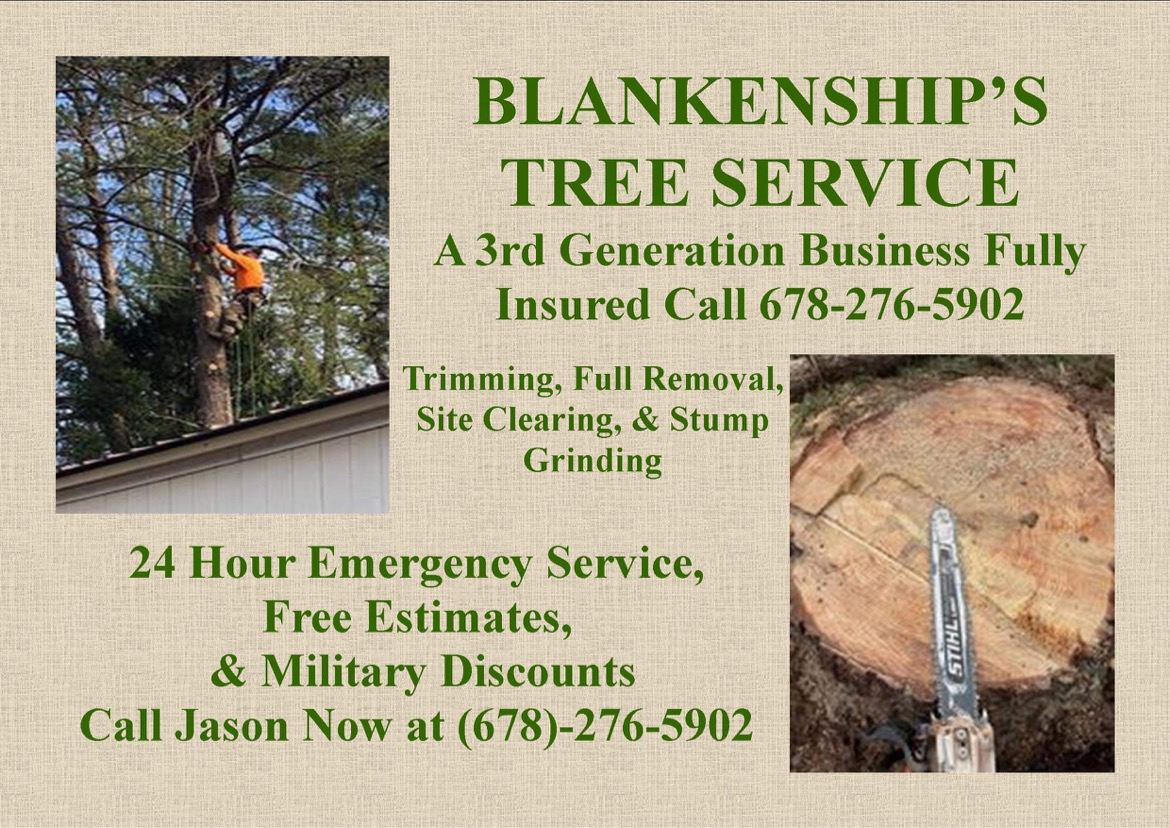 Avatar for Blankenships Tree Service