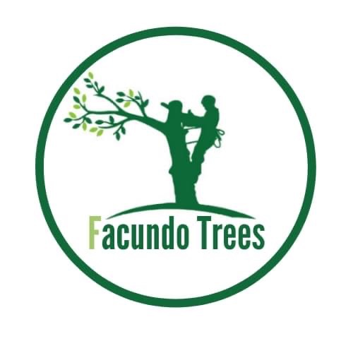 Avatar for Facundo trees