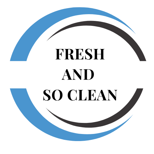 Logo for Fresh and So Clean