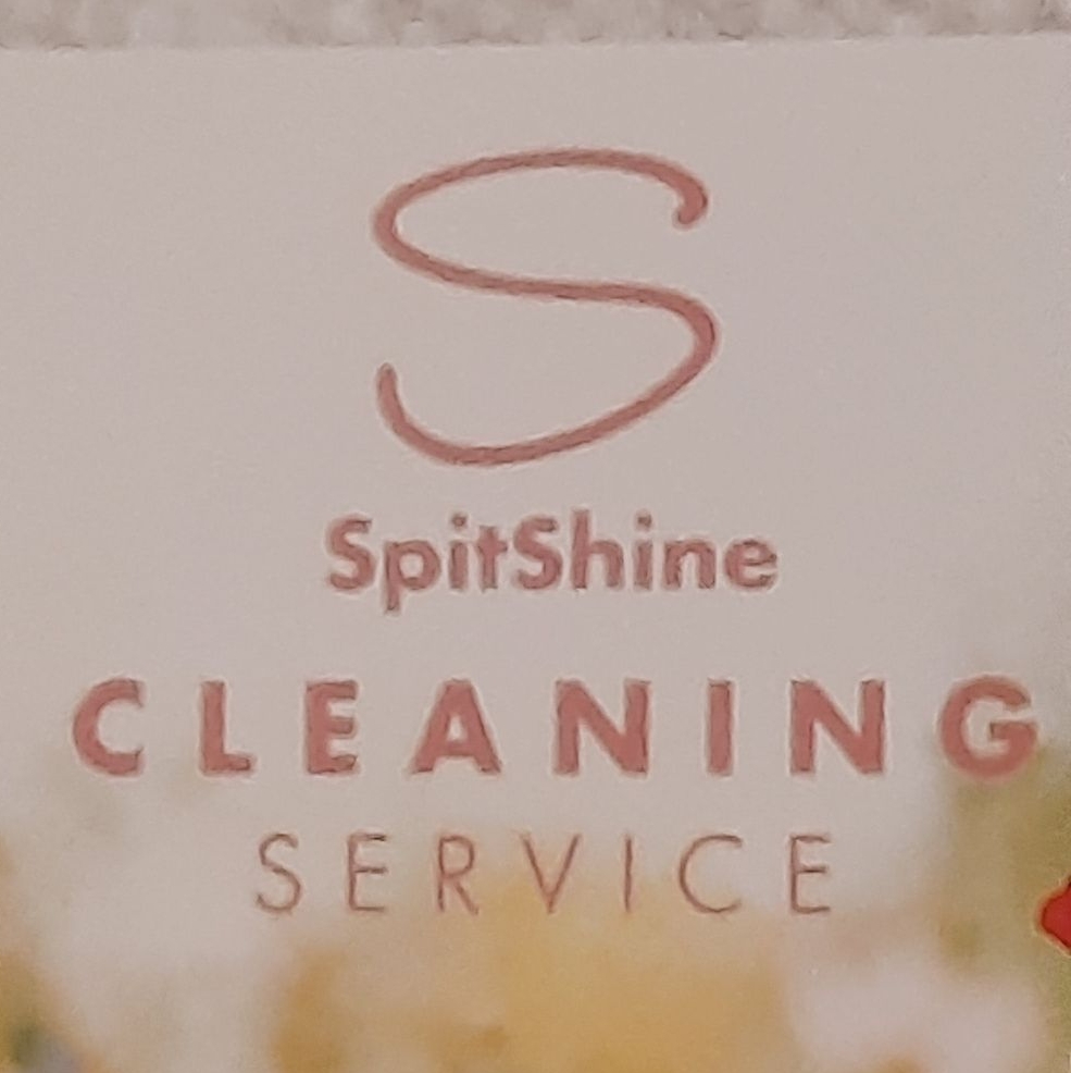 Avatar for SpitShine Cleaning Service