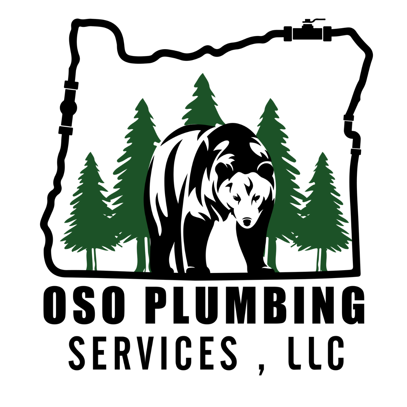 OSO PLUMBING SERVICES LLC logo