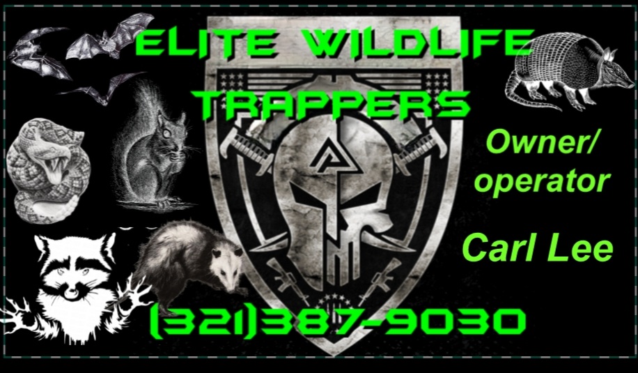 Avatar for Elite Wildlife Trappers