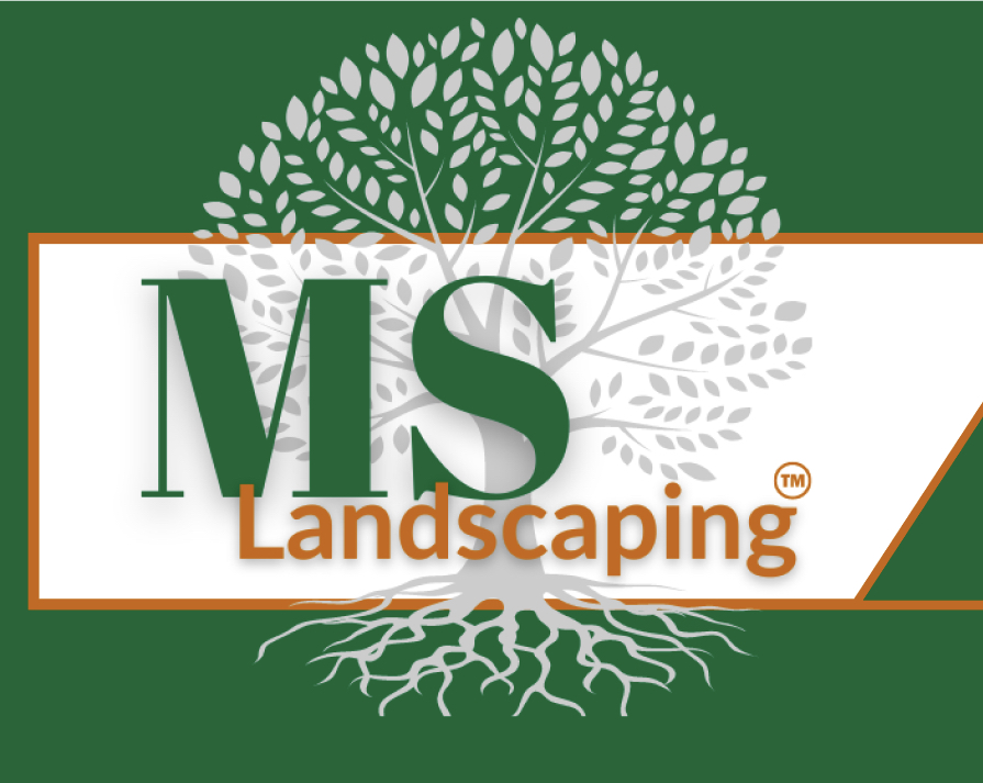 Avatar for MS Landscaping