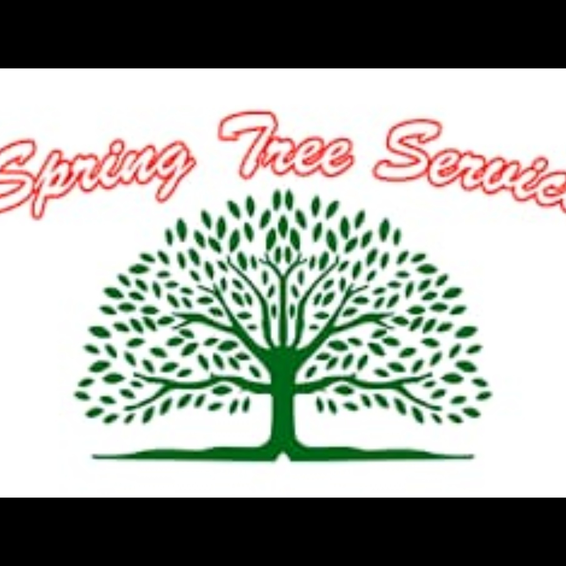 Avatar for Spring Tree service