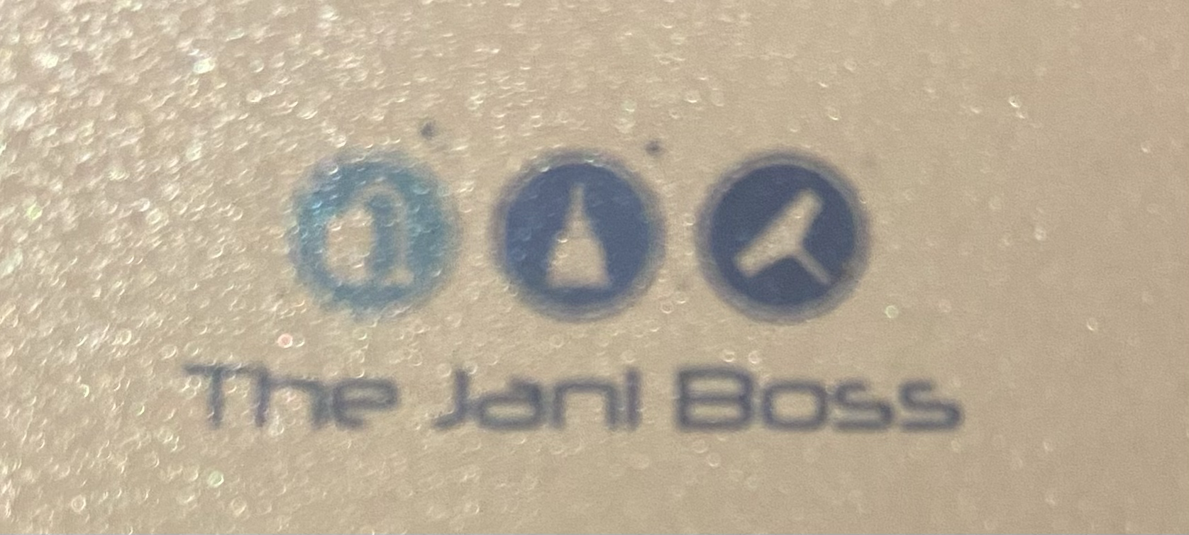 Avatar for The Jani Boss