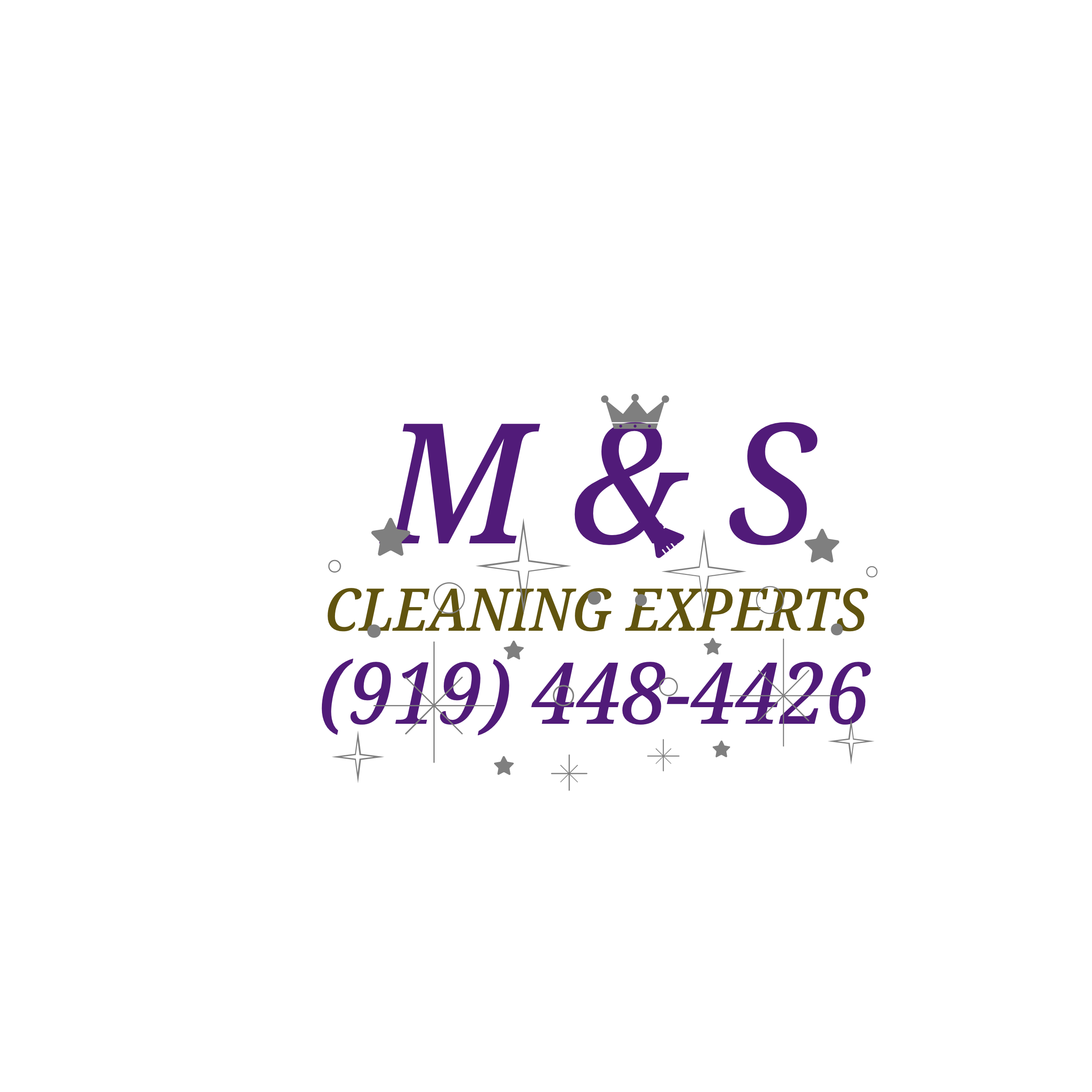 M & S CLEANING EXPERTS logo