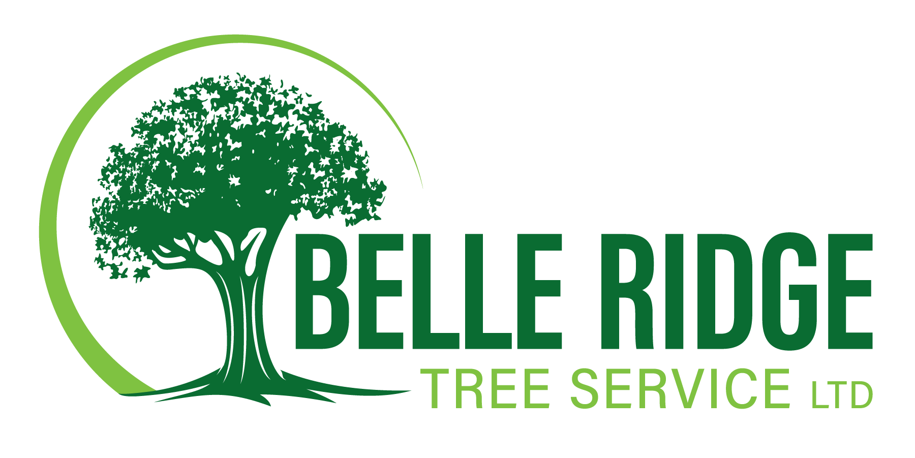 Avatar for Belle Ridge Tree Service LTD