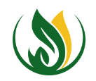 Logo for Deep Green Services