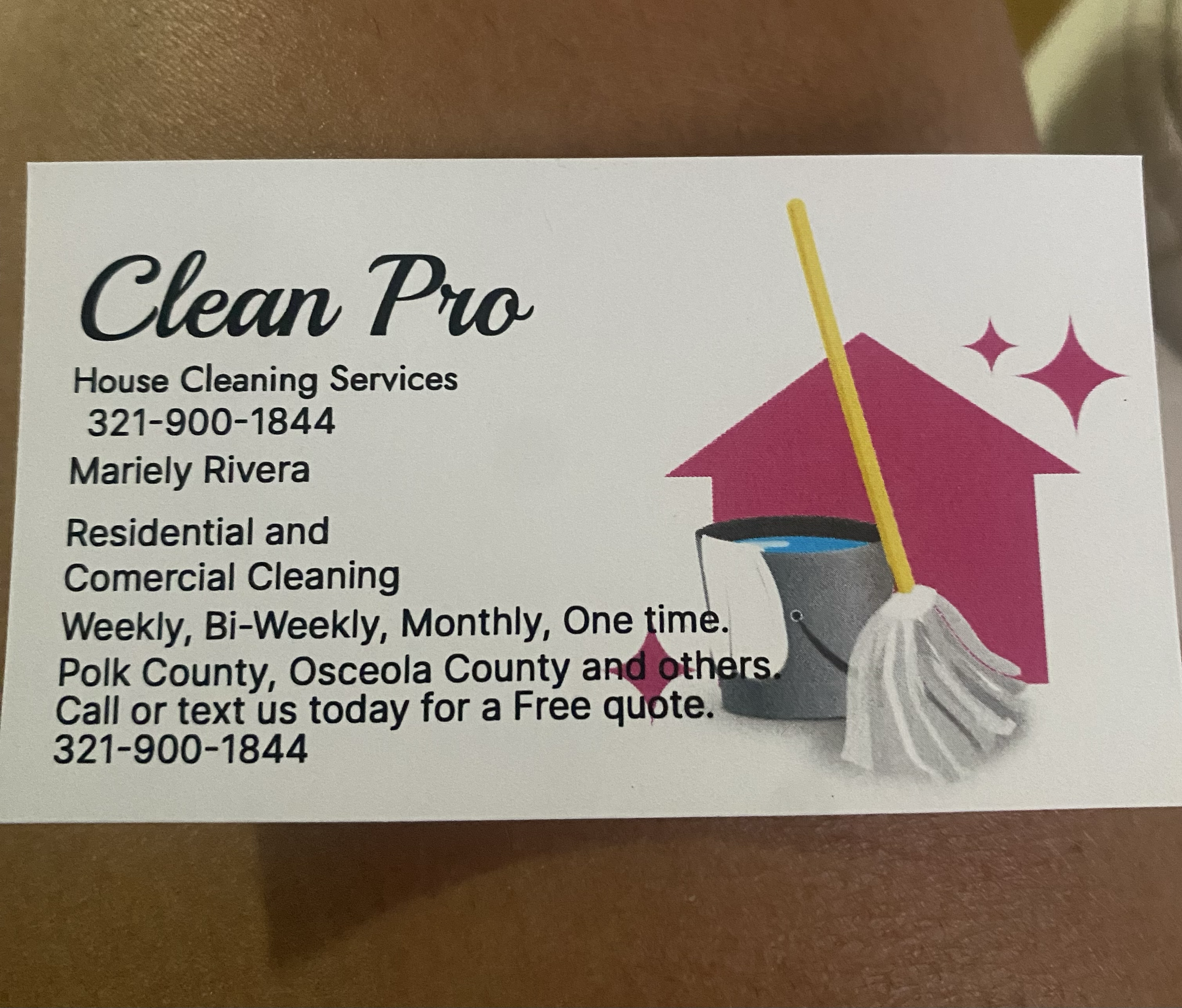 Logo for Clean Pro