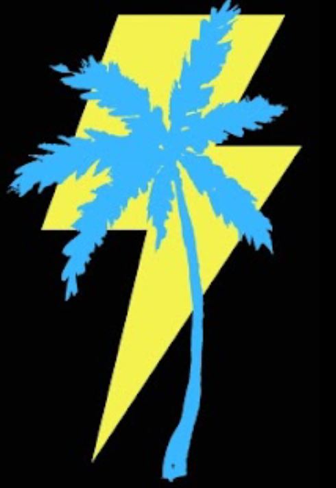 Palm Systems Electric logo