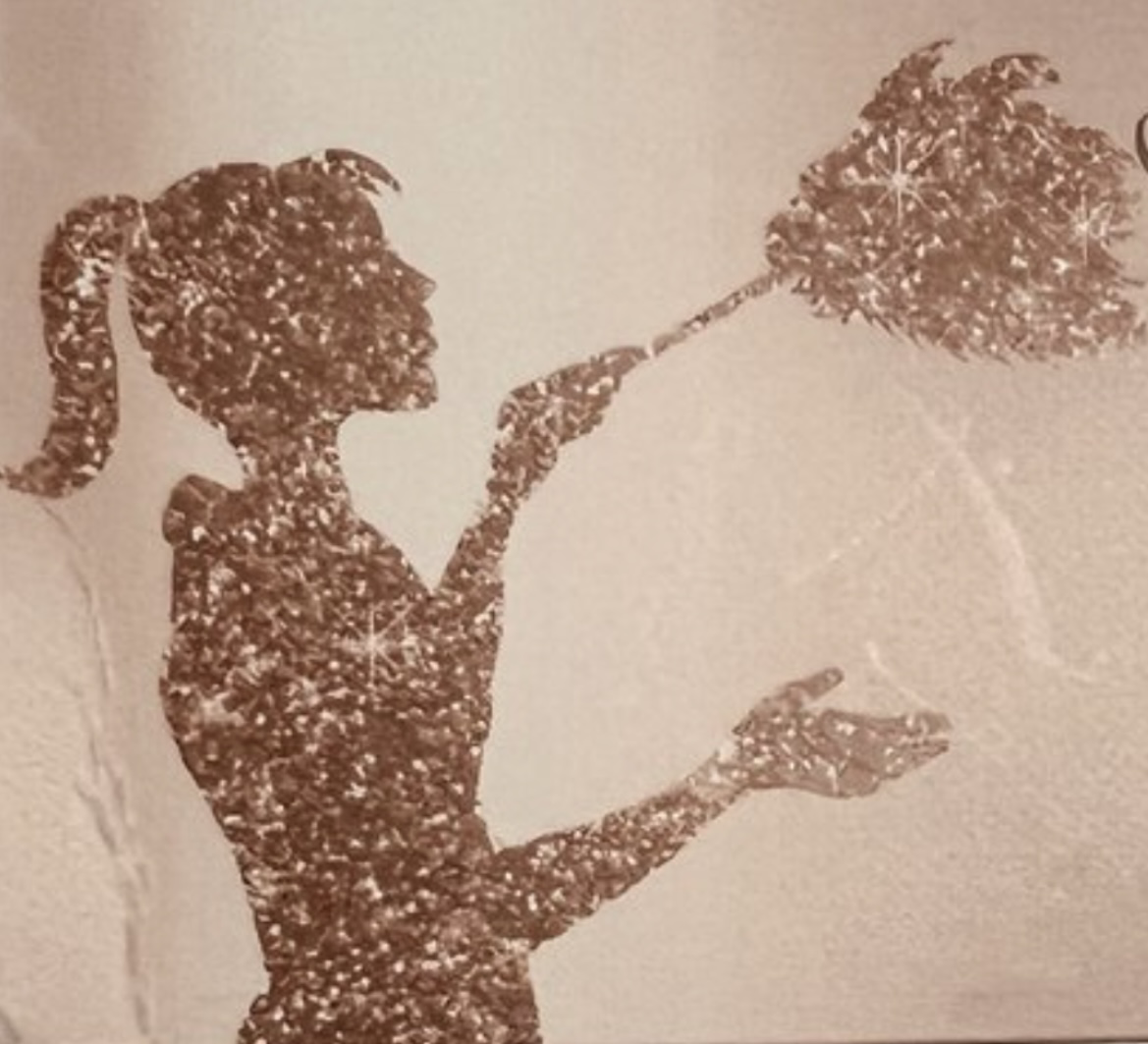 Classy Cleaning Service logo