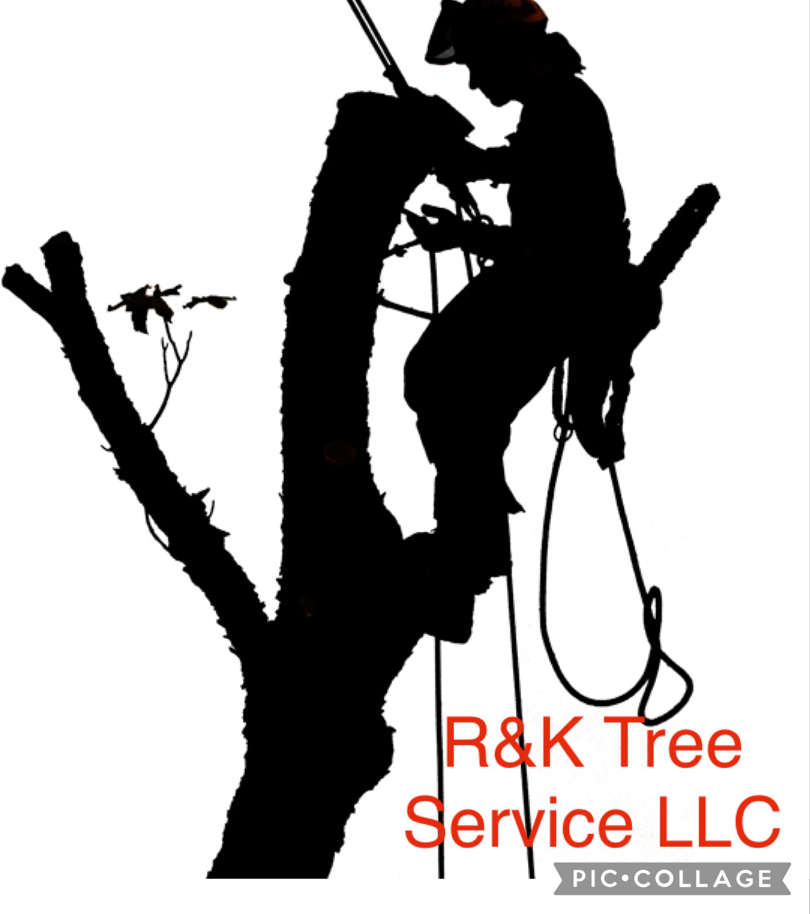 Avatar for R&K Tree Service