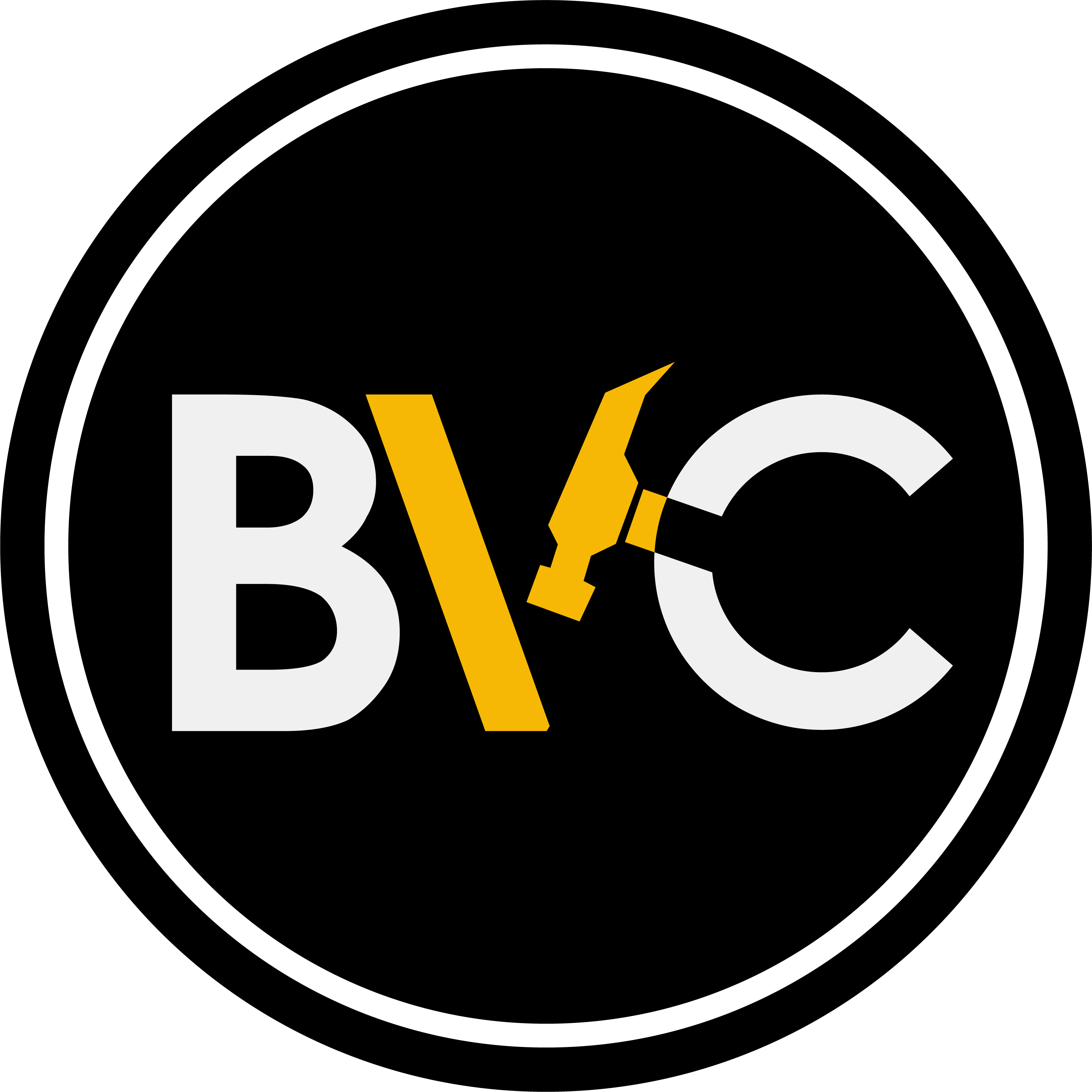 Build Vision Construction LLC logo