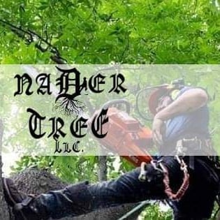 Avatar for Mader Tree LLC