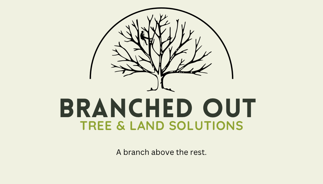 Logo for Branched Out Tree and Land Solutions