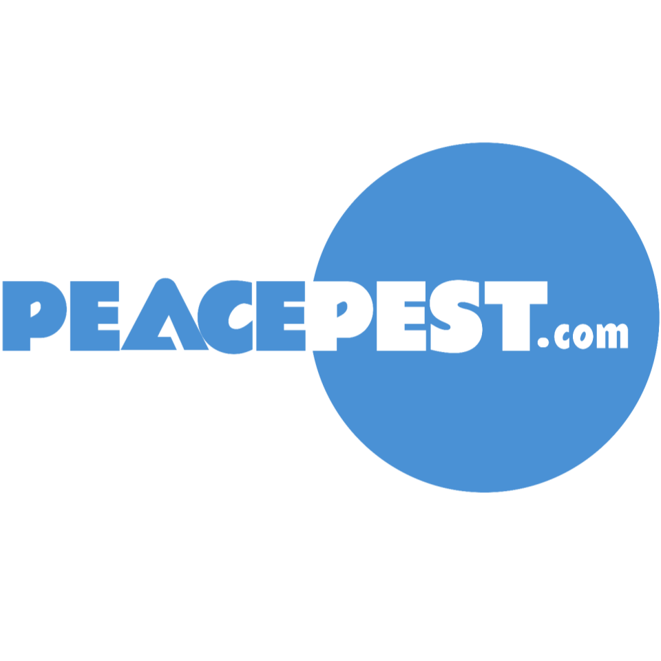 Avatar for Pest Exclusion and Control Experts
