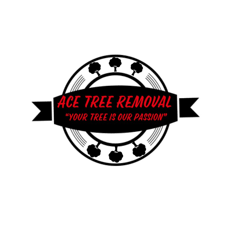 Avatar for Ace Tree Removal