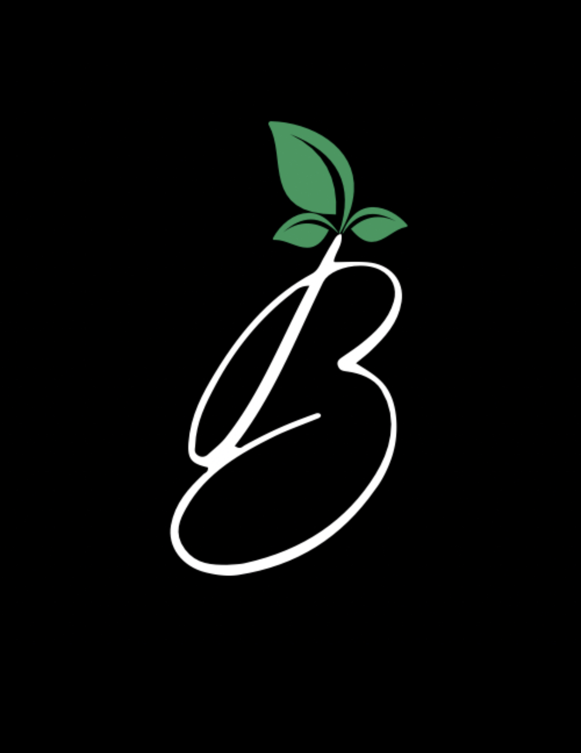 Avatar for B3 Cleaners