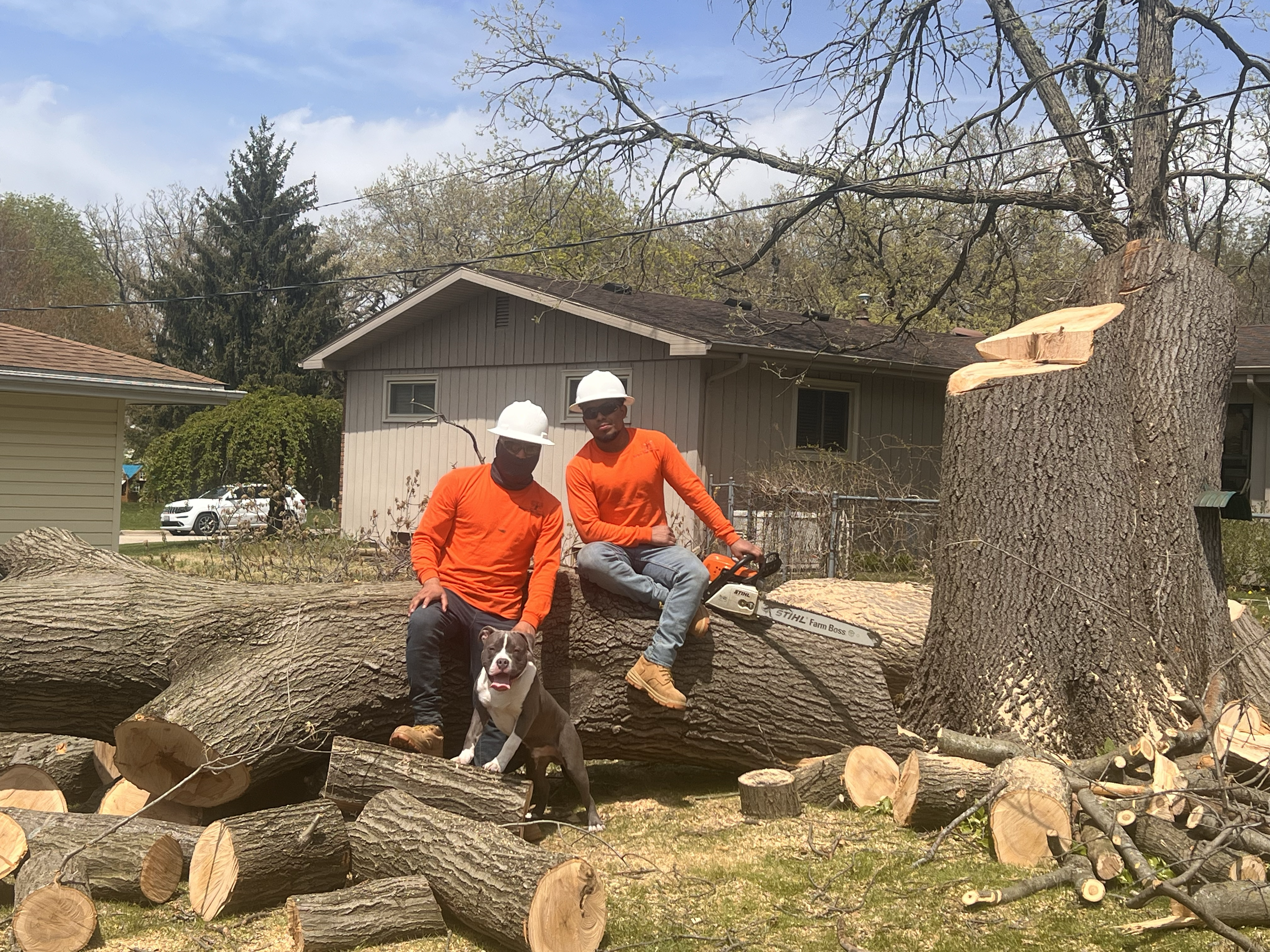 Avatar for Made Tree Services