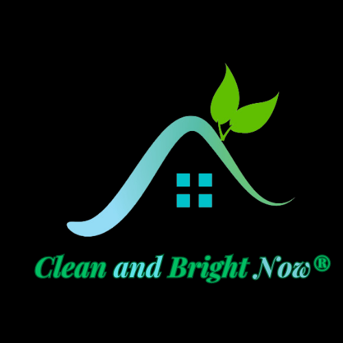 Logo for Clean and Bright Now