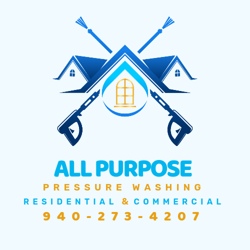 Avatar for All Purpose Pressure Washing
