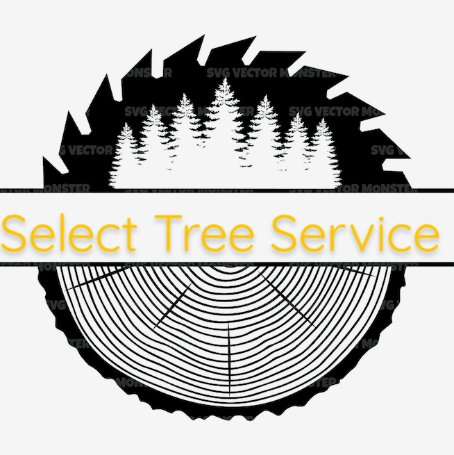 Avatar for Best Select Tree Service