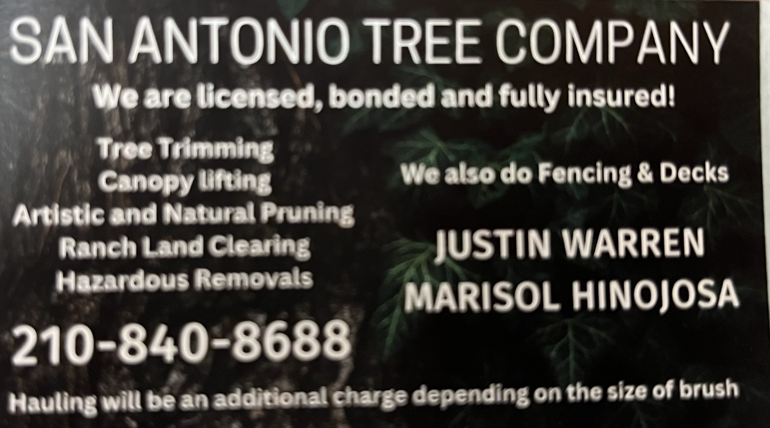 Avatar for San Antonio Tree Company