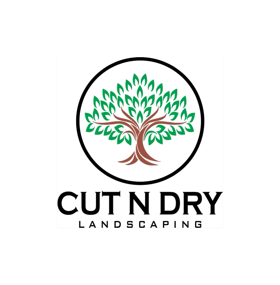 Avatar for Cut N Dry Landscaping
