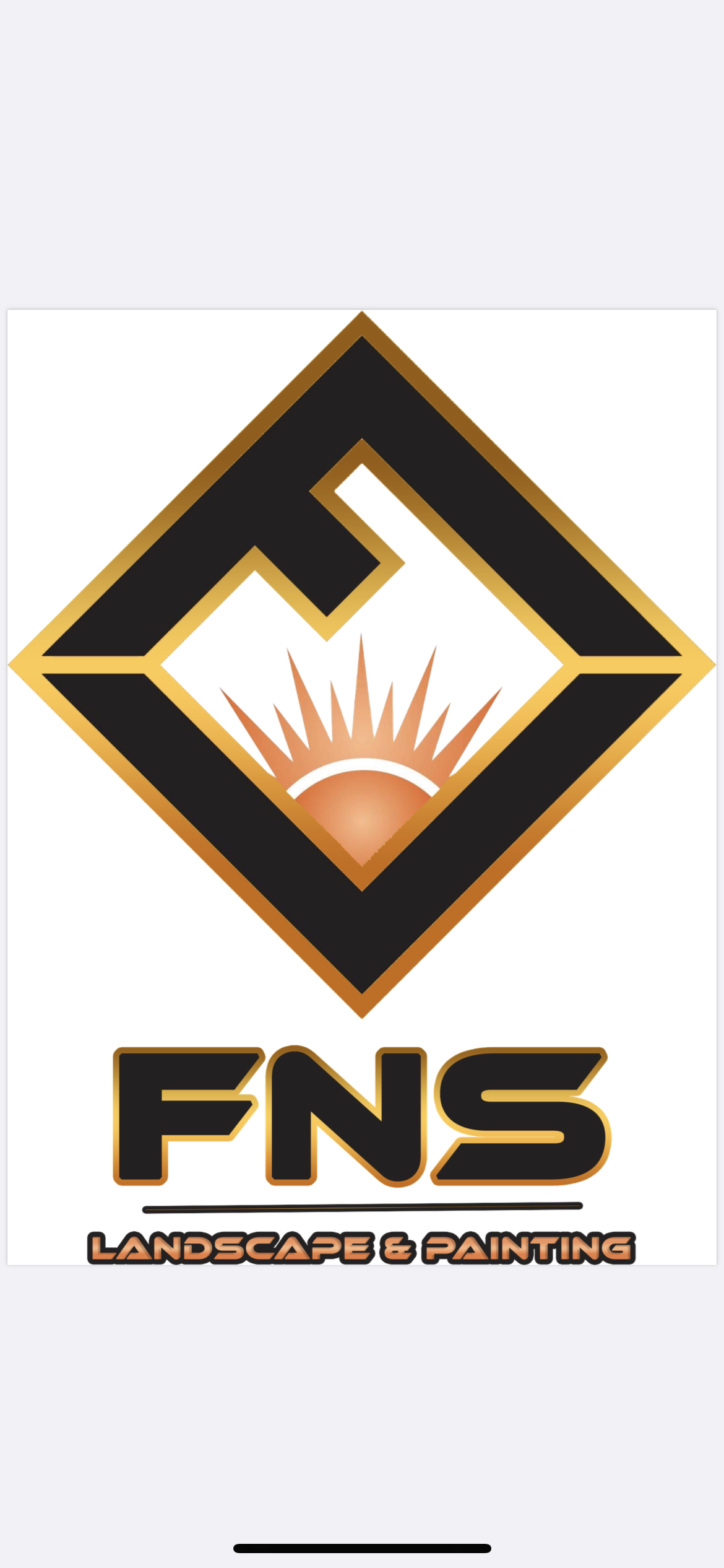 FNS Landscape & Painting logo